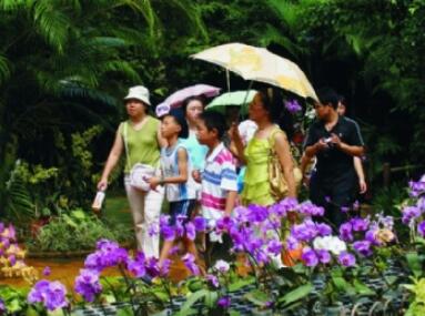 南天生态大观园,