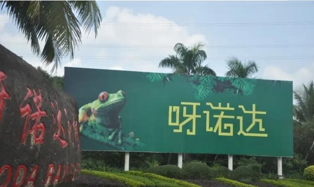 海南呀诺达雨林文化旅游区,