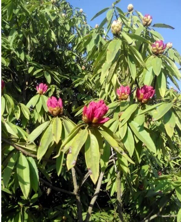 玉舍国家森林公园,