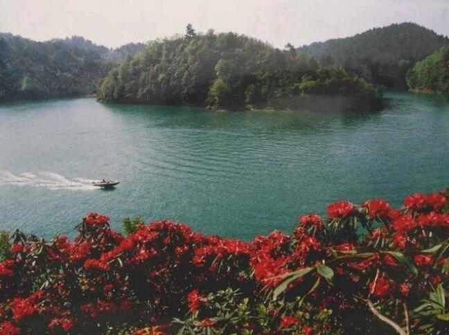 茂兰国家级自然保护区,