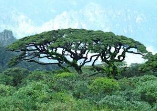 ���ݽ���