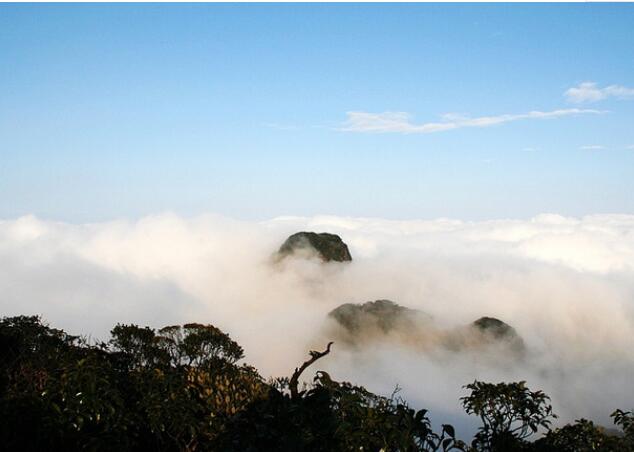 ����ʥ��ɽ��