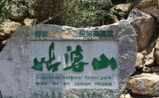 ���ݹ���ɽ��