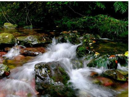 �����������´�Ͽ�ȣ�