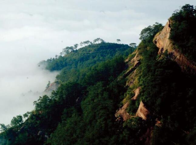 广西梧州石表山,