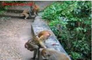 广西龙潭国家森林公园,