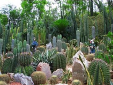 ��ɽ������԰��