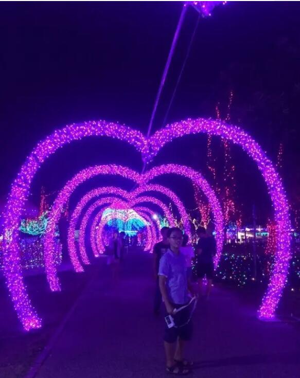 տ��ɭ�ֹ�԰�������磬