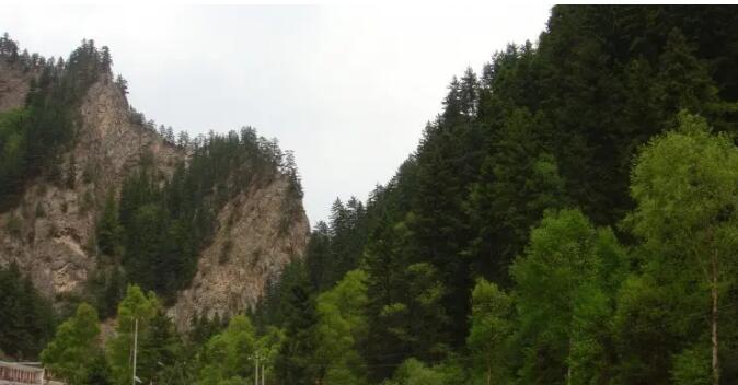 吐鲁沟国家森林公园,