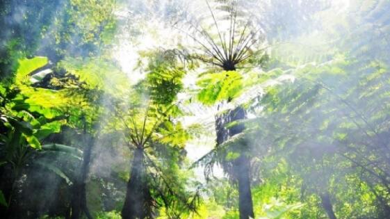 �����Ͼ��������������Ͼ��������֣�