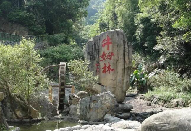 ţķ����̬��������