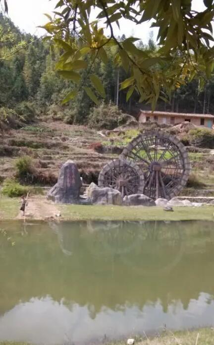 德化国宝云龙谷,