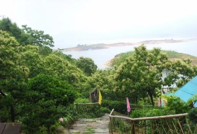 ����̫����ͤ����