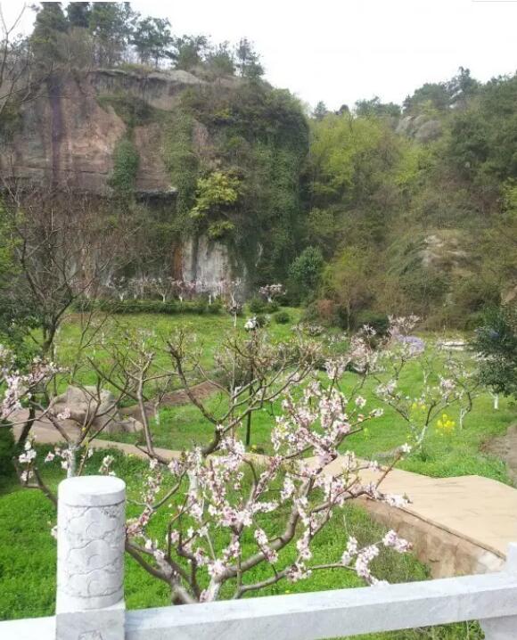 ���측ɽ��