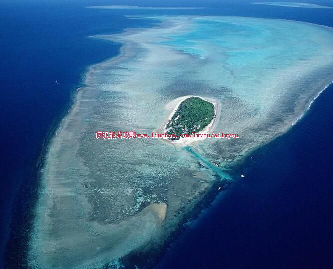 �Ĵ����ǿ����Ź��ҹ�԰���ι��� �������