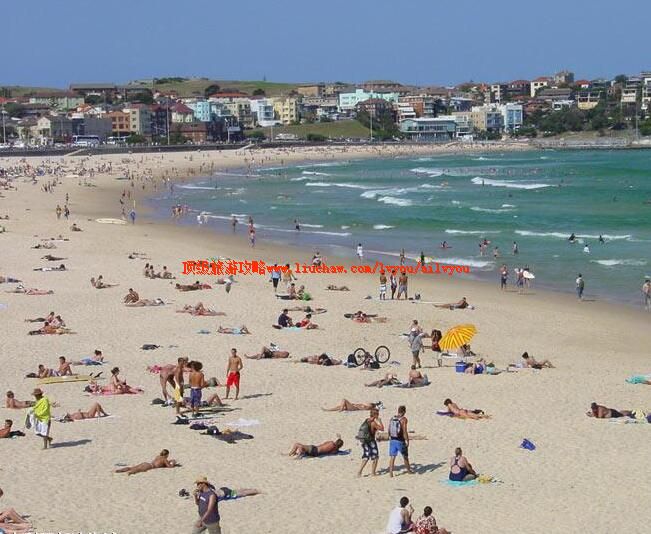 �Ĵ����ǰ�Ϻ�̲���ι���     Ϥ����