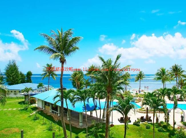 ���ൺ���ι���          ����������Ⱥ��