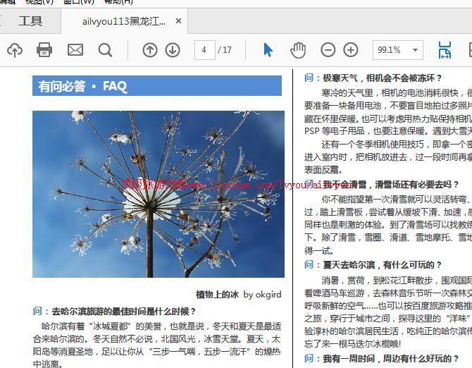 ailvyou1000���������ι��� ��35Ԫ