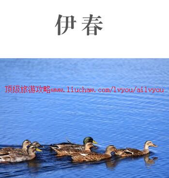 ailvyou999伊春旅游攻略 售20元