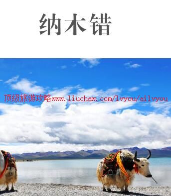 ailvyou985��ľ�����ι���  ��35Ԫ