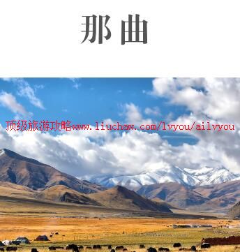 ailvyou982�������ι���     ��20Ԫ