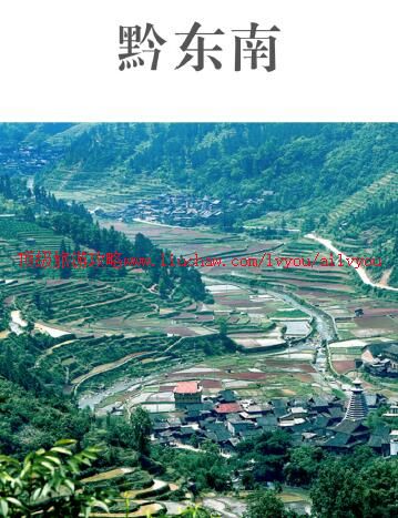 ailvyou976ǭ�������ι���  ��35Ԫ