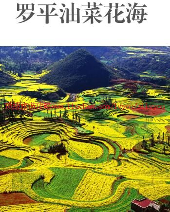 ailvyou971��ƽ�Ͳ˻������ι���  ��20Ԫ