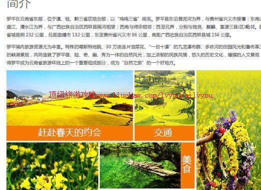 ailvyou971��ƽ�Ͳ˻������ι���  ��20Ԫ