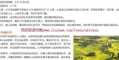 ailvyou971��ƽ�Ͳ˻������ι���  ��20Ԫ