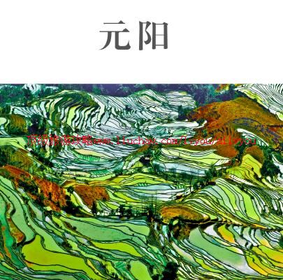 ailvyou970Ԫ�������������ι���  ��20Ԫ