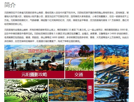 ailvyou970Ԫ�������������ι���  ��20Ԫ