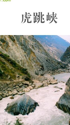 ailvyou966����Ͽ���ι���   ��20Ԫ