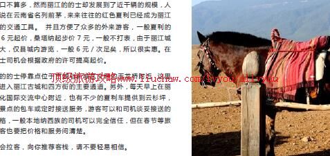 ailvyou962�������ι���      ��35Ԫ