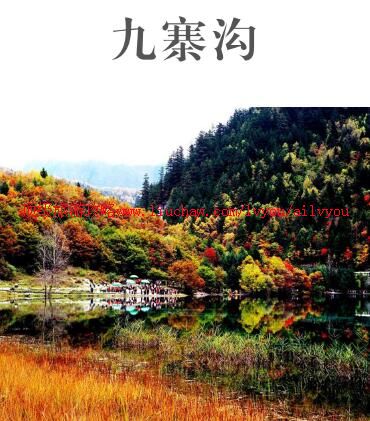 ailvyou950��կ�����ι���     ��35Ԫ