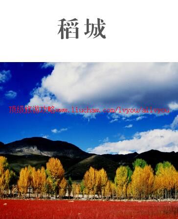 ailvyou945�������ι���        ��20Ԫ