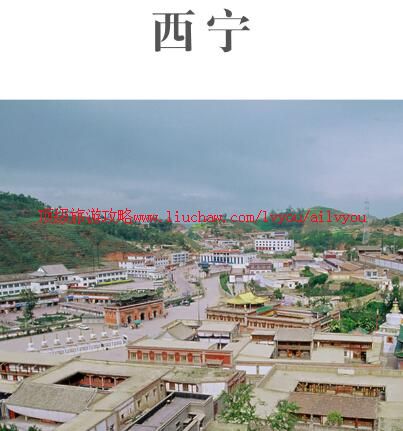 ailvyou926�������ι���         ��20Ԫ