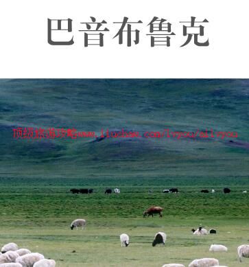 ailvyou924������³�����ι���   ��20Ԫ