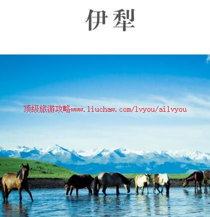 ailvyou920�������ι���            ��20Ԫ