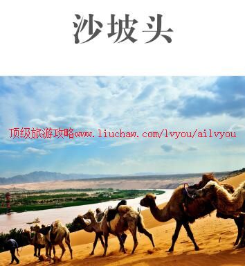 ailvyou915沙坡头攻略 售20元