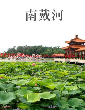 ailvyou901南戴河旅游攻略 售20元