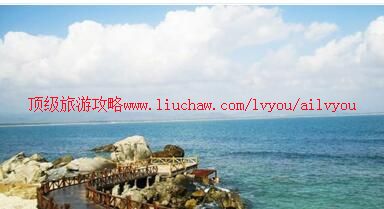 ailvyou863��֧�޵����ι���      ��20Ԫ