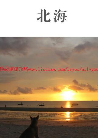 ailvyou860�������ι���  ��35Ԫ