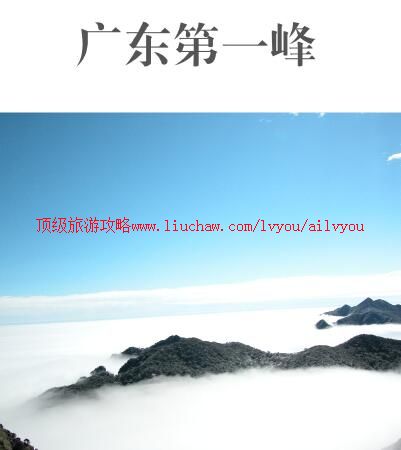 ailvyou849百万葵园旅游攻略 售20元