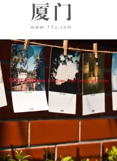 ailvyou815�������ι���        ��35Ԫ