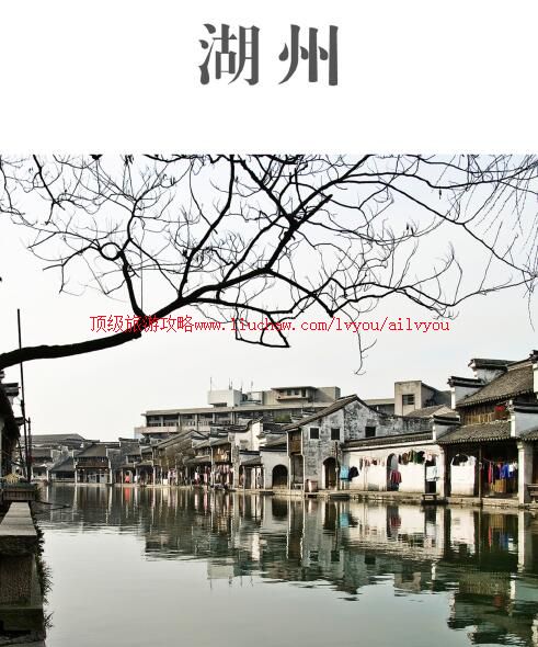 ailvyou801�������ι���           ��20Ԫ