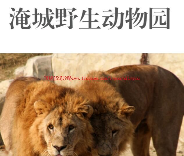 ailvyou752�����ͳ�Ұ������԰���ι�����20Ԫ