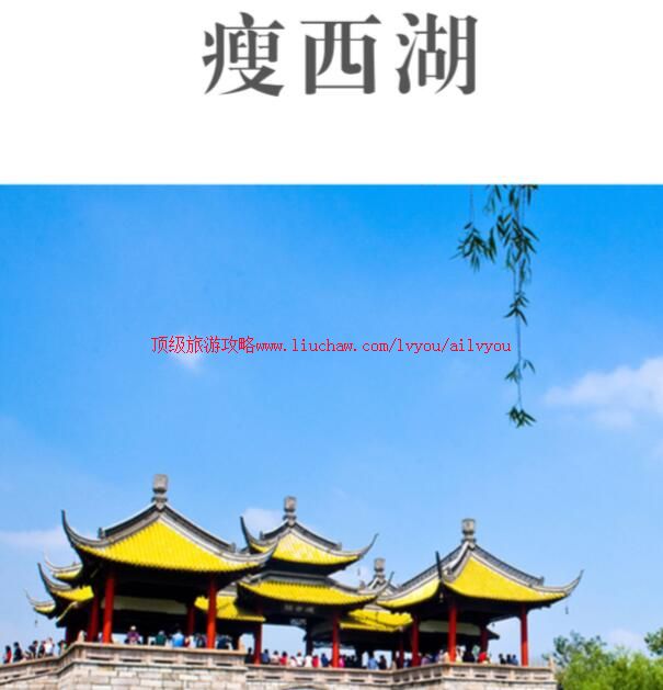 ailvyou728���������ι���      ��20Ԫ