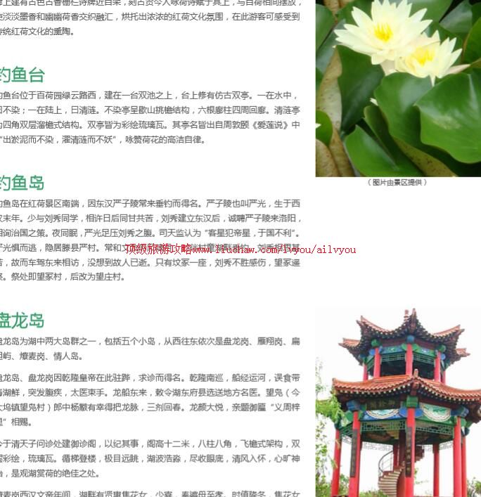 ailvyou714΢ɽ��ʪ�غ�����ι���  ��20Ԫ