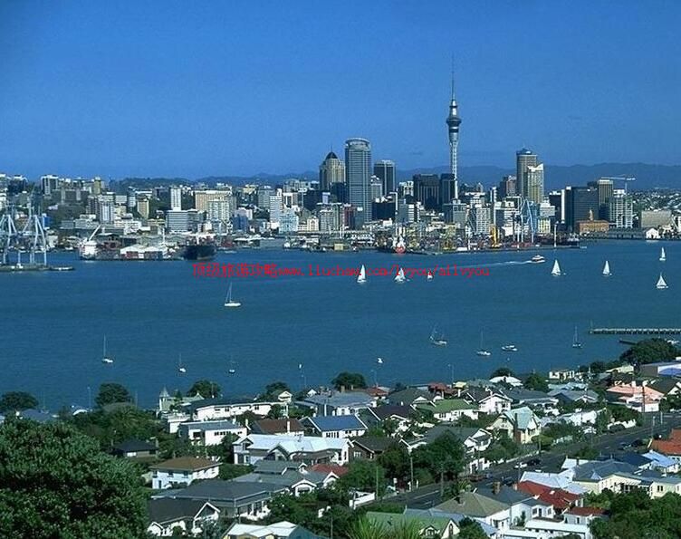 �������¿������ι���