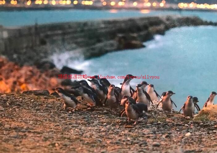 ����������³����챣���������ι���